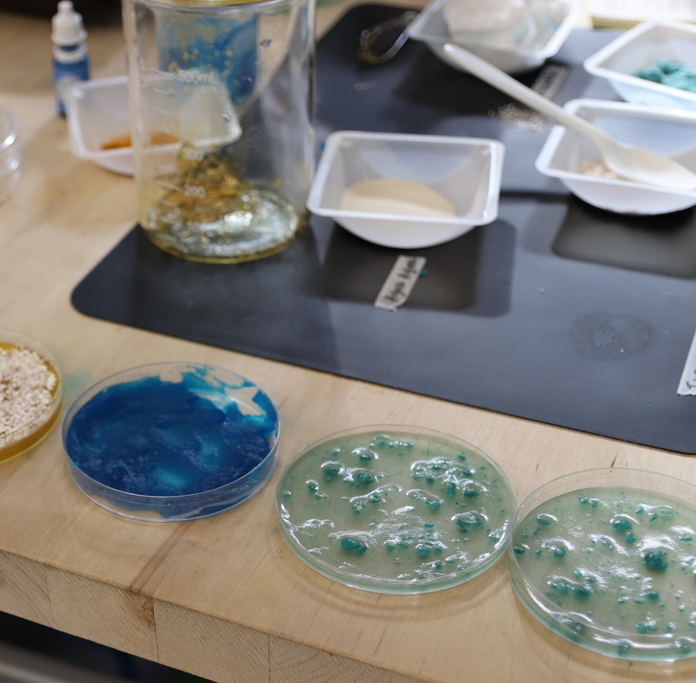 Biomaking