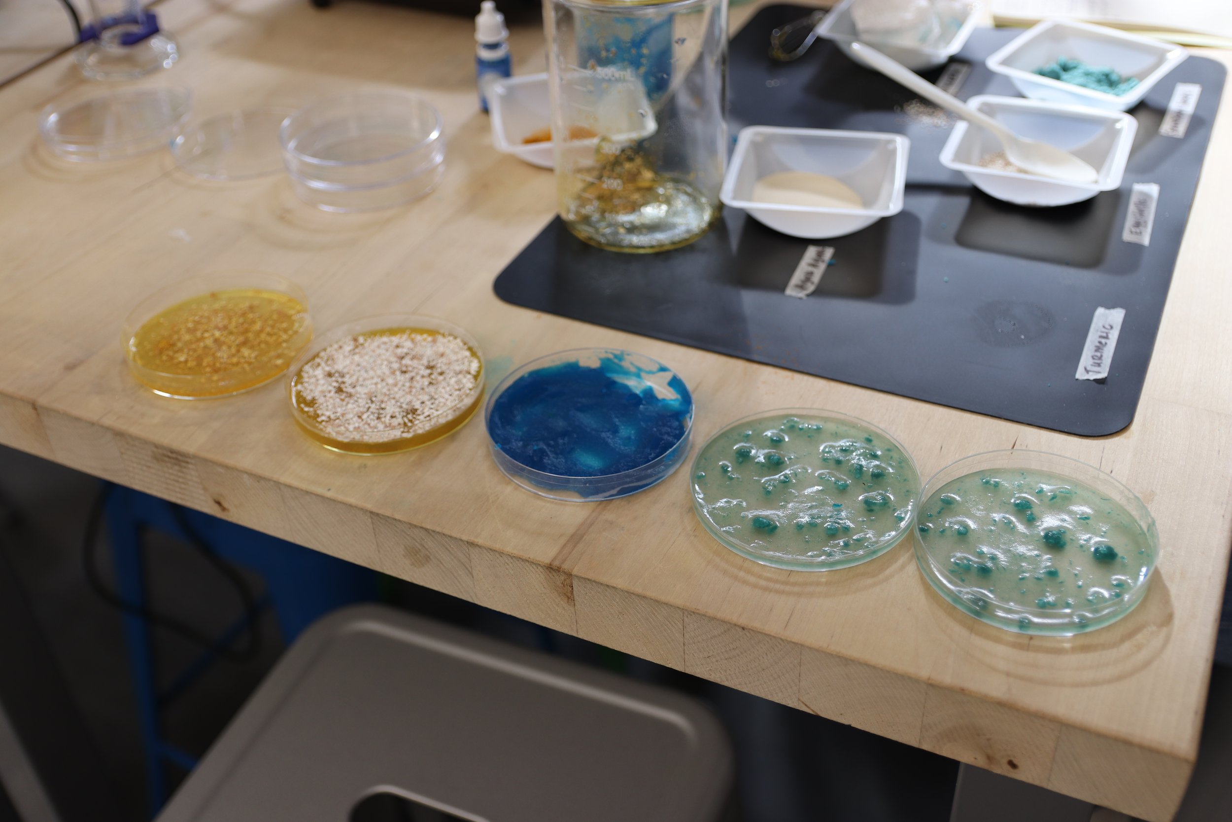 Petri dishes with various colorful bio plastics